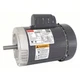 5GD60 Dayton Gen purpose 56C fr., .75 hp, 1725 RPM OLD STOCK,