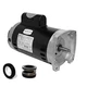 Puri Tech Motor and Seal Replacement Kit for 2hp Century USQ1202 and PS-100 Seal