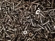 #10-16 x 3/4 Self Drilling Screw Phillips Flat Head Undercut #3 Point Stainless 