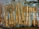 CASE OF 140 TRANE VAL 10576 1/2 X 1/2 CHECK VALVES 725 PSIG 4.6"  