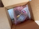 Raychem / Lighted End Seal Kit / E-100-L2-A