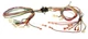 Rheem 45-104090-01 Wiring Harness Assembly (Twist-Lock)