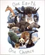 One Chance Animals Paper Tole 3D Decoupage Craft Kit size 8x10 inches 52066