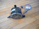 YDK-250S63223-02 / 0131M00005P Zhongshan Broad-Ocean Blower Motor 1/3HP 208-230V
