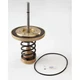 Watts 909 6 1St Check Kit Repair Kit, Watts Series 909,  6 In