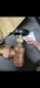 Legend Valve 1" T-437 RADIATOR VALVE 110-117
