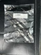 100304989 Lochinvar Ignitor W/ Gasket OEM 100304989