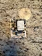 Carrier 1088977 Fan Control Board E61-300000 ICP Guaranteed FREE SHIP