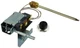 Rheem SP8260 1/2" Electric Thermostat  Plastic  NPT Connection