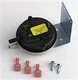 Lochinvar 100166234 Pressure Switch for 501, 651 & 751 Gas Valve Assembly