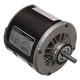 CENTURY VB2074V1 Evaporative Cooler Motor,115V,Ball,CCWLE 2HTL2