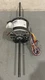 Trane 1/12 HP 775 RPM 115V 3 Speed Motor MOT19010