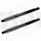 Rear Struts Coil Spring Assembly Set For 1998-2004 Toyota Tacoma 4WD RWD