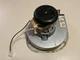 TRANE AMERICAN STANDARD D342077P05 VENT DRAFT INDUCER MOTOR FASCO 70580263