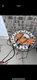 Belimo NFB24-S Damper Actuator.  24v