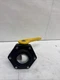 Banjo Stubby Poly Ball Valve Standard Port 3" Hose barb x 3" Female