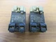 Telemecanique ZB2-BV3 Pilot Light Module ZB2BV3 25304 (Pack of 2)