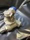 Spirax Sarco UTD52L Thermo-Dynamic Steam Trap 66173C