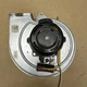 INDM19 Goodman Amana Y3L248B01 Furnace Inducer Motor 0131M00002P