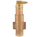 Honeywell PV100 1 in. NPT Powervent Gold Air Eliminator