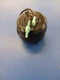 05311 Mars Cast Iron Motor