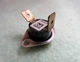 * Furnace Rollout Limit Switch * # 36TX11   21944  * L130-20F * 626581 * Nordyne