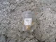 New Siemens 257-02065B 25702065B 599-01088 1/2" 3-Way Pneumatic Actuator Valve