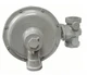 ITRON / ROOTS Portable Gas Torpedo Heater Gas Pressure Regulator,  1&rdquo; out, 60psi