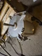Nidec 2799 1573 Single Phase Motor With Fan Shroud 208-240v ,1phase