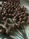 72 Primitive 6mm Rusty LOOK Tin JINGLE BELLS 1/4 in 1/4" Christmas Craft Supply