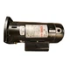 Century SQ1152 Pool Pump Motor Square Flange 1.5HP 1-Speed 230V 48Y Frame